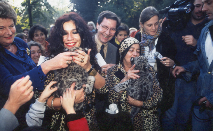 photo - Les Femmes Panthères