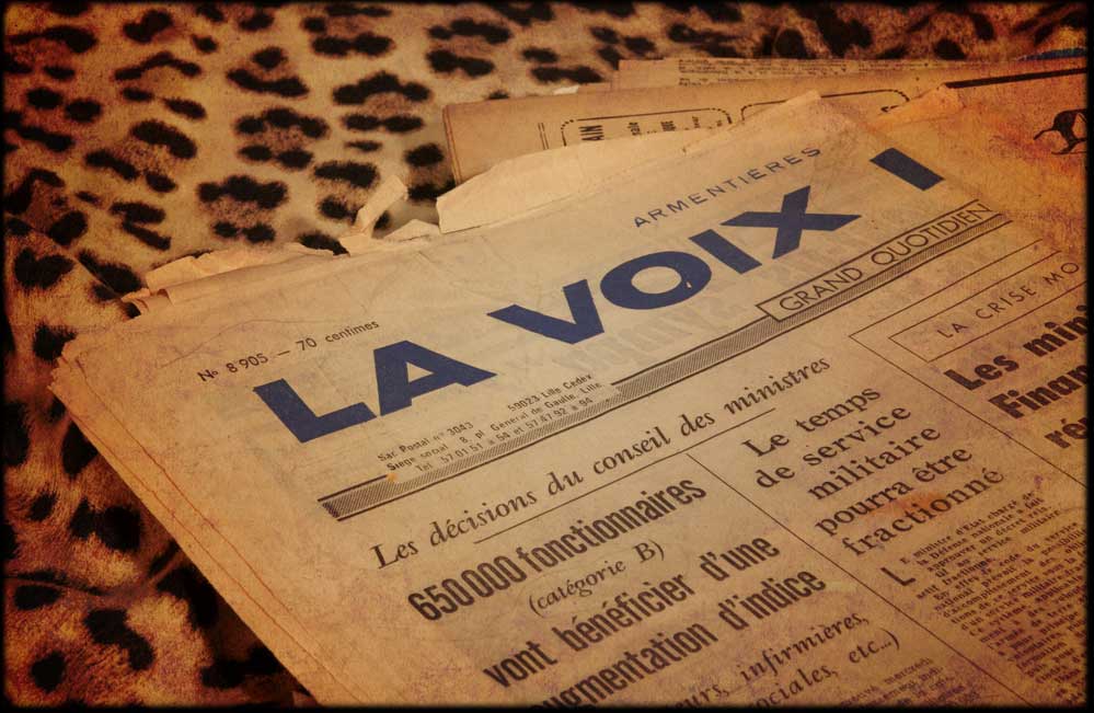 Les Femmes Panthères - Presse